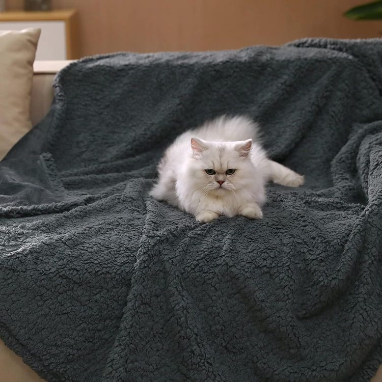 No. 4 - Waterproof Pet Blanket - 2