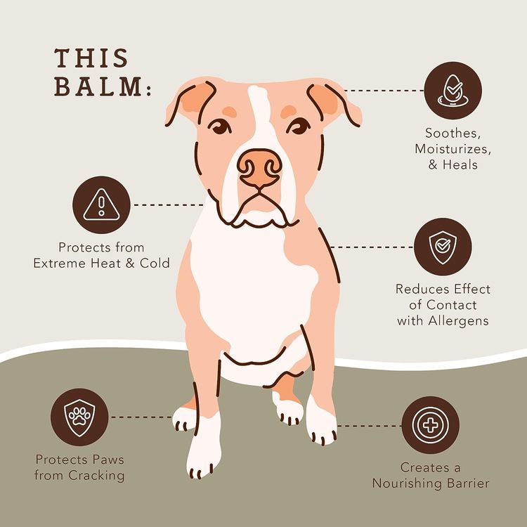 No. 10 - Natural Dog Company PawTection Dog Paw Balm - 2