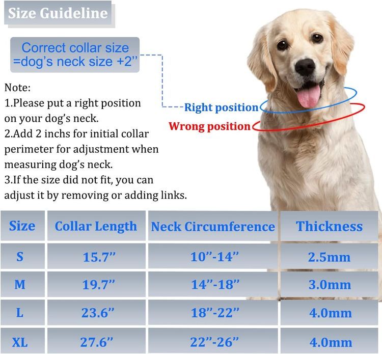 No. 4 - No Pull Dog Collar - 4