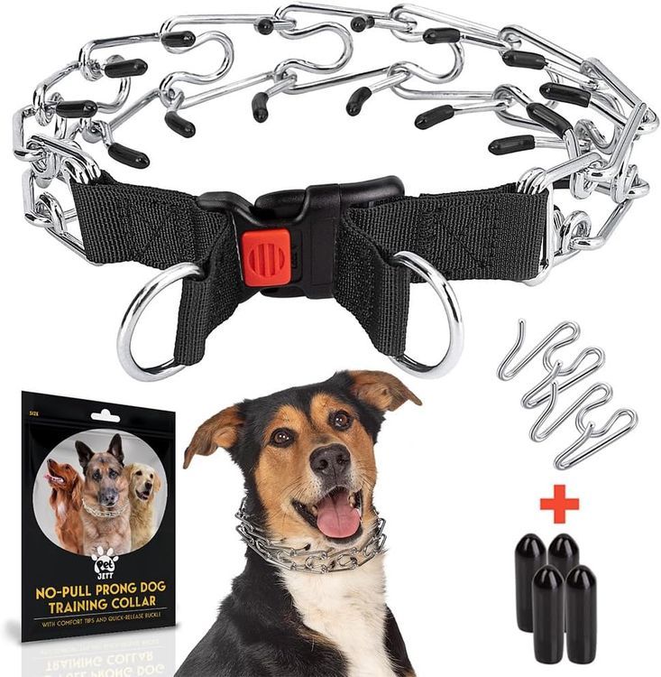 No. 6 - PetJett Prong Collar - 1