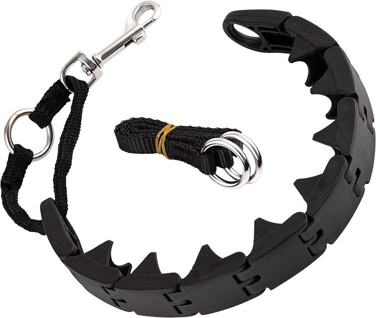 No. 9 - RamPro Dog Training Collar - 1