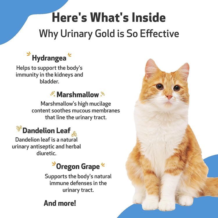 No. 9 - Pet Wellbeing Urinary Gold - 5