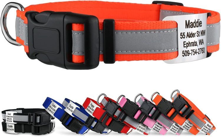 No. 9 - Reflective Personalized Dog Collar - 1