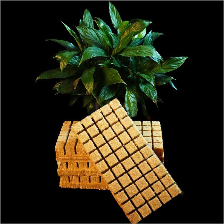 No. 4 - CastleGreens Hydroponic Rockwool Cubes - 1