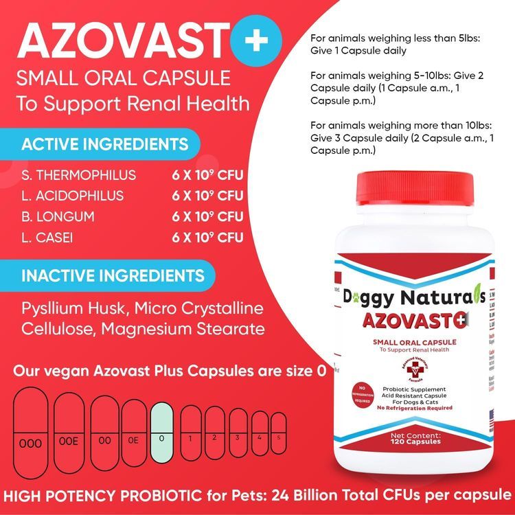 No. 3 - Azovast Plus Kidney Health Supplement - 2