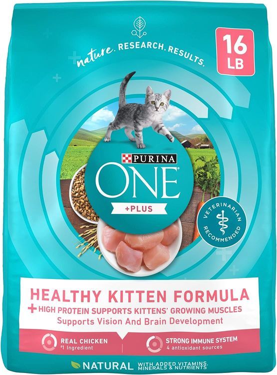 No. 9 - Purina ONE High Protein, Natural Dry Kitten Food - 1