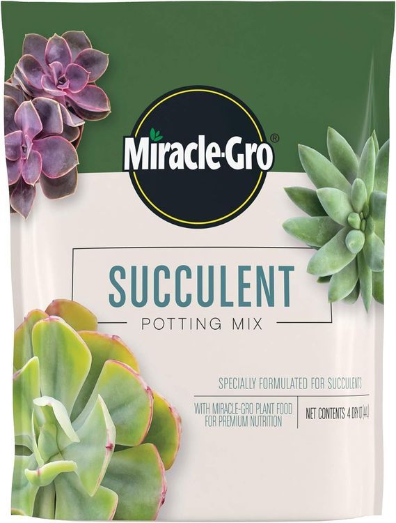 No. 3 - Miracle-Gro Succulent Potting Mix - 1