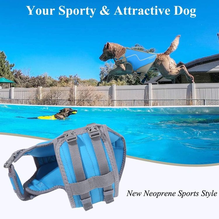 No. 3 - VIVAGLORY Life Jacket for Dogs - Sports Style Water Vest Jacket - 2