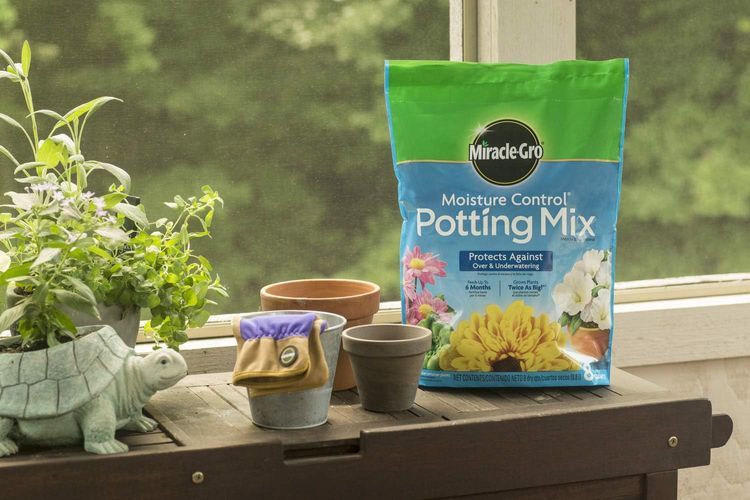 No. 10 - Miracle-Gro Moisture Control Potting Mix - 3