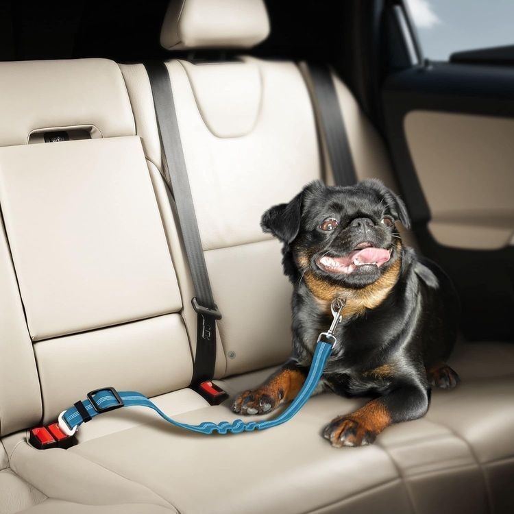 No. 9 - Dog Car Seat Belt - 4