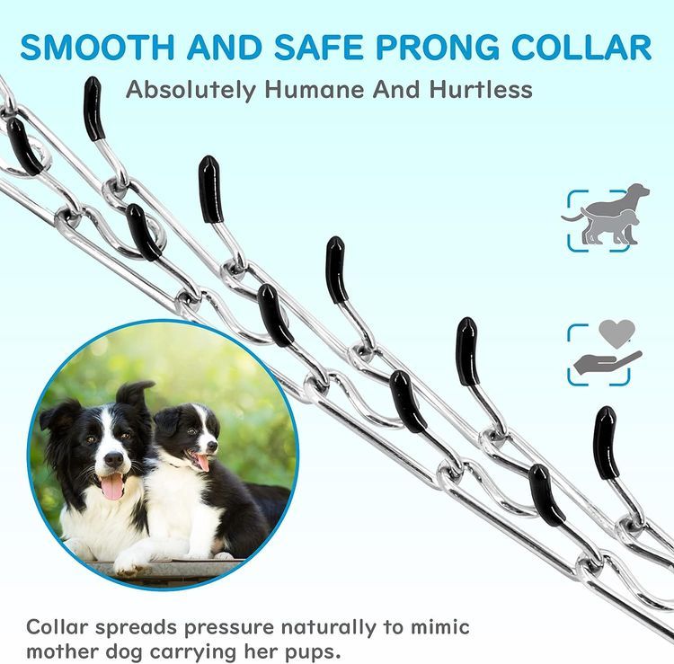 No. 1 - Supet Dog Prong Collar - 4