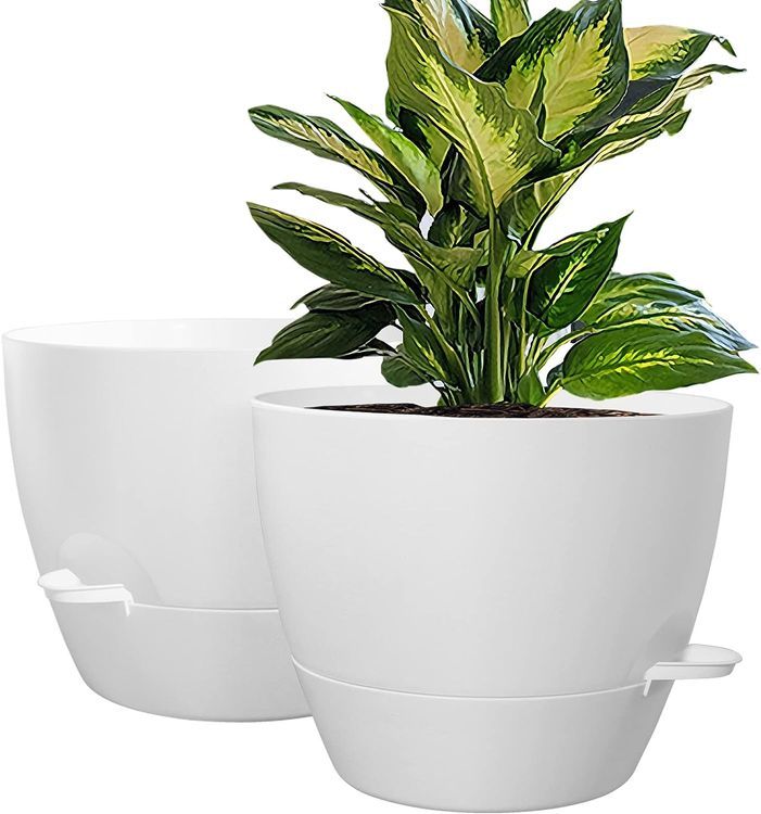 No. 4 - Plastic Self Watering Plant Pots - 1