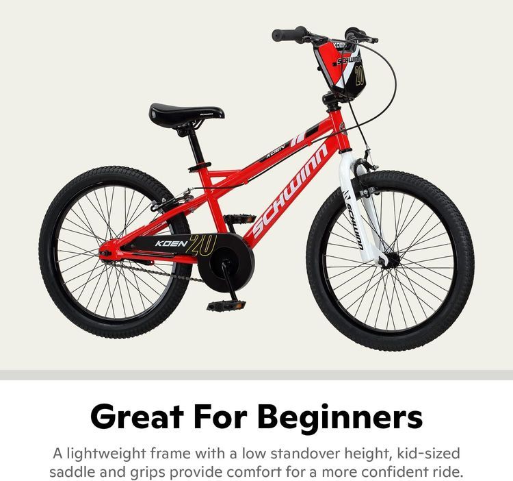 No. 6 - Schwinn Koen & Elm Big Kids Bike - 3