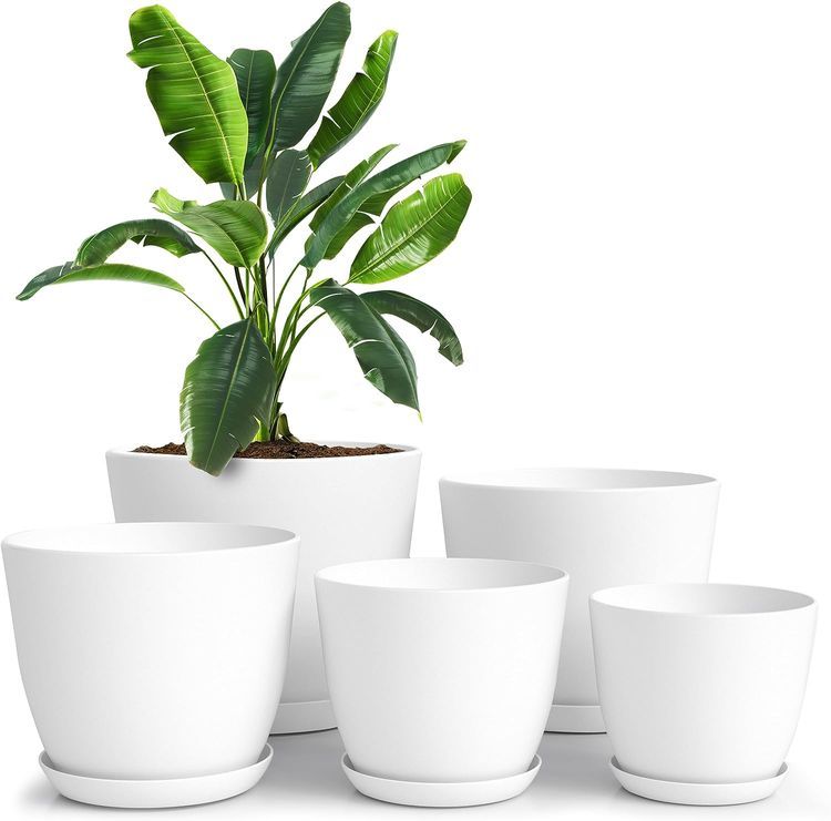 No. 2 - Utopia Home Plant Pots with Drainage - 1