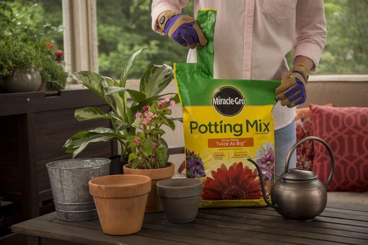 No. 3 - Miracle-Gro Potting Mix - 3