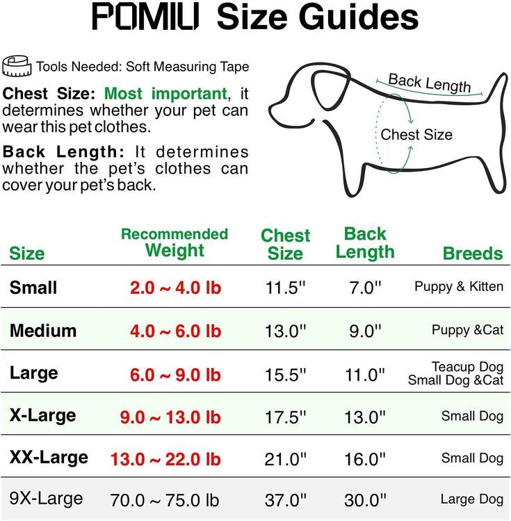 No. 9 - POMIU Dog Sweater - 2