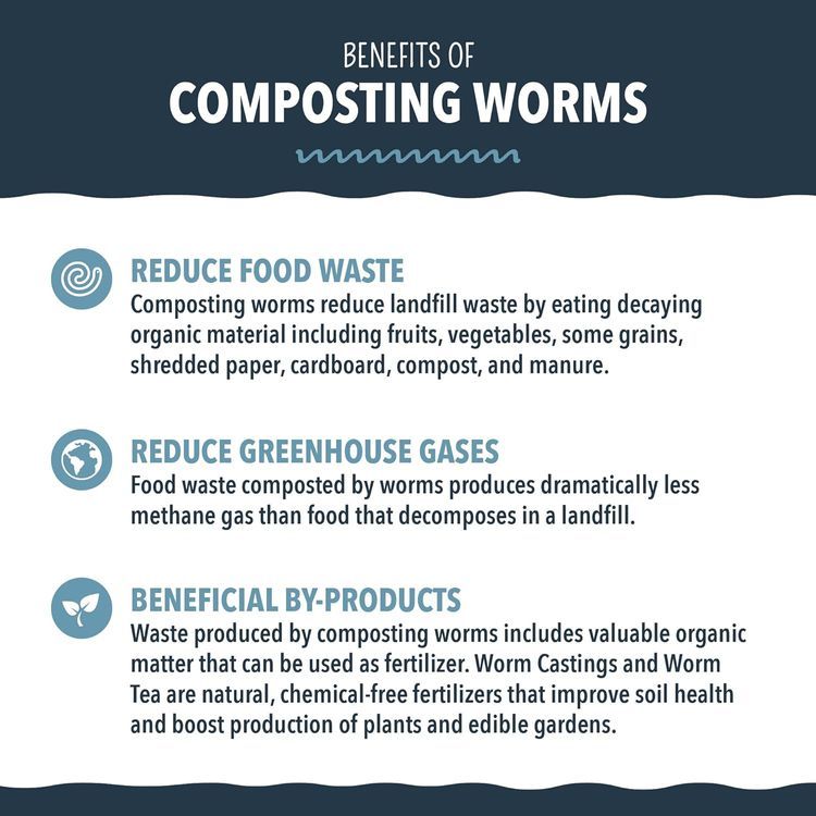 No. 9 - Worm Nerd Composting Worms - 3