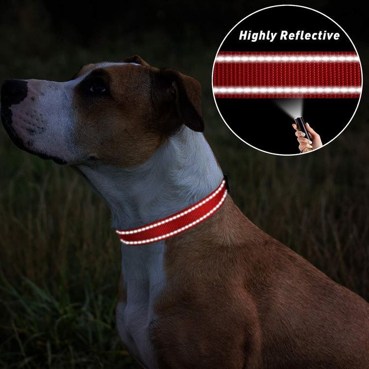 No. 5 - TagME Reflective Nylon Dog Collars - 5