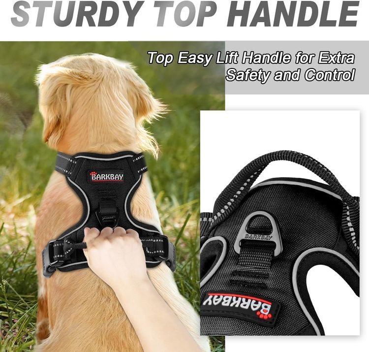 No. 10 - BARKBAY No Pull Dog Harness - 3