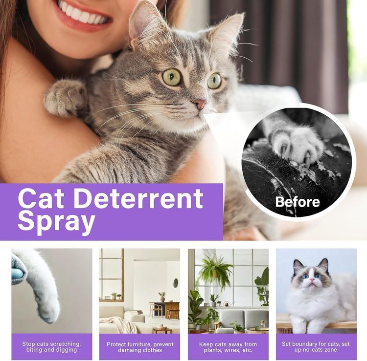 No. 3 - SHWD Cat Deterrent Spray - 5