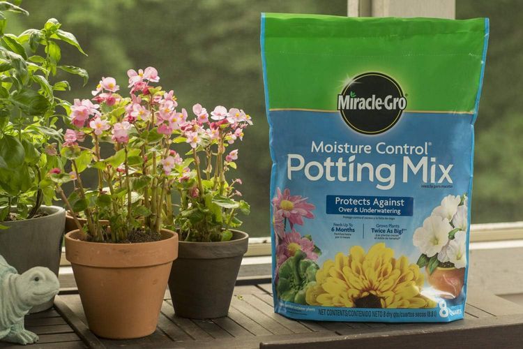 No. 10 - Miracle-Gro Moisture Control Potting Mix - 5