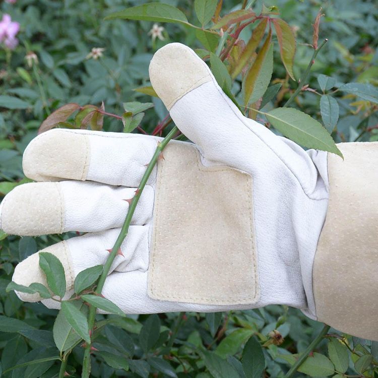 No. 2 - HANDLANDY Pruning Gloves - 2