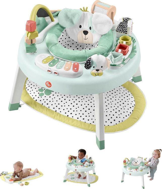 No. 10 - Fisher-Price 3-in-1 SnugaPuppy Activity Center - 1