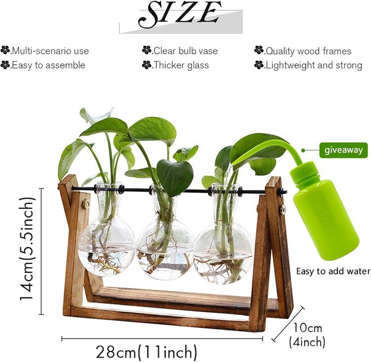 No. 1 - Wooden Stand Glass Planter Terrariums - 2