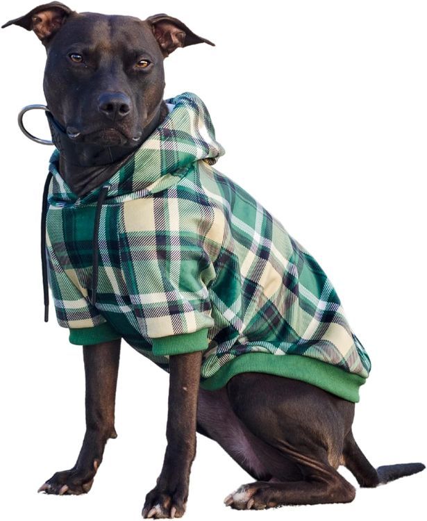 No. 6 - Spark Paws Dog Hoodie - 1