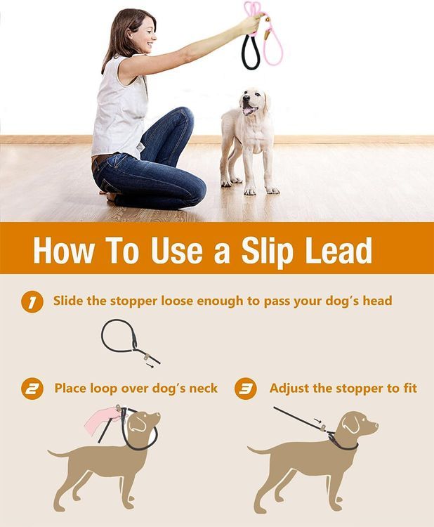 No. 9 - Lynxking Dog Leash Slip Lead Snap Hook Rope Leash Strong Heavy Duty Braided Dog Training Leash - 5