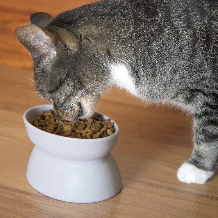 No. 5 - Kitty City Raised Cat Food Bowl Collection - 3