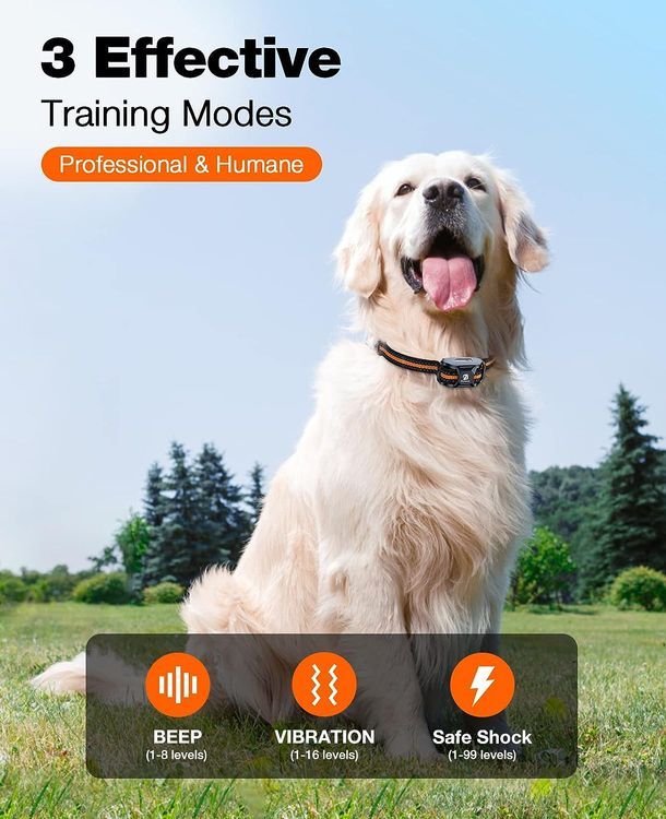 No. 8 - Dog Training Collar - 2