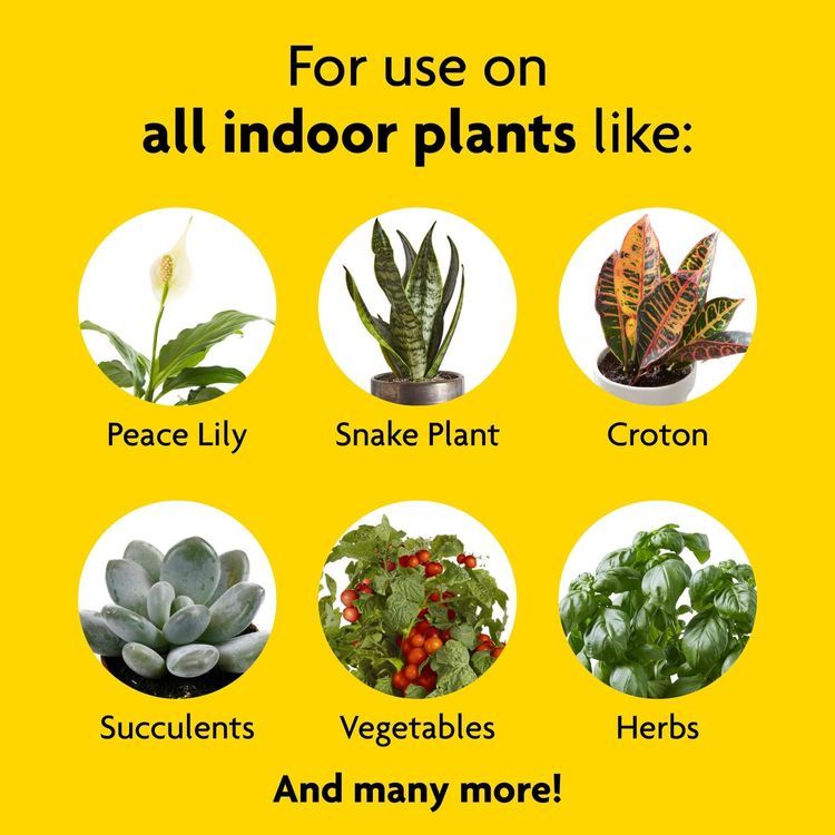 No. 4 - Miracle-Gro Indoor Plant Food - 5