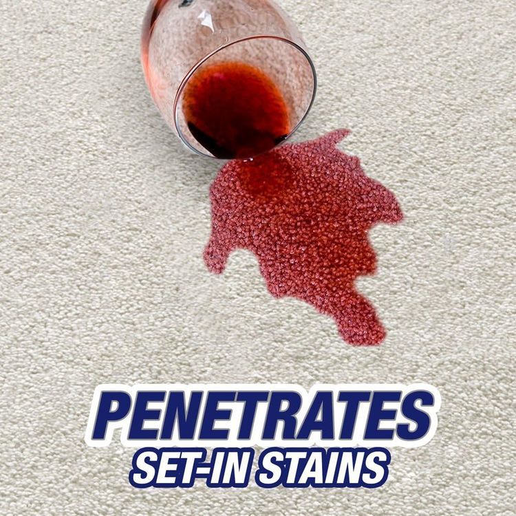 No. 6 - Carpet Stain Remover - 4