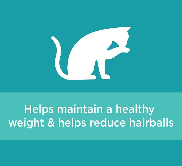 No. 8 - IAMS Proactive Health Adult Indoor Weight Control & Hairball Care Dry Cat Food - 5