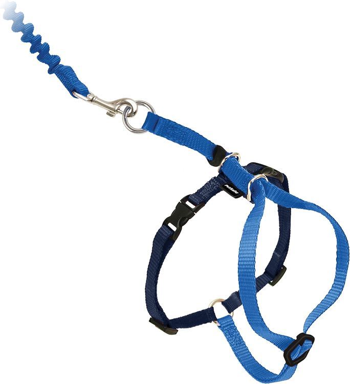 No. 9 - PetSafe Come With Me Kitty Harness and Bungee Leash - 1