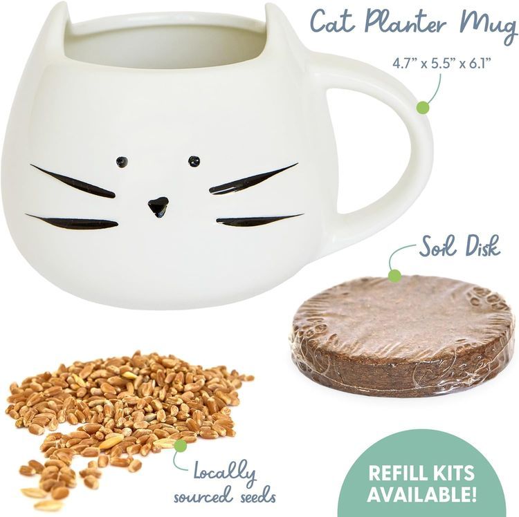 No. 8 - Cat Grass Growing Kit - 2