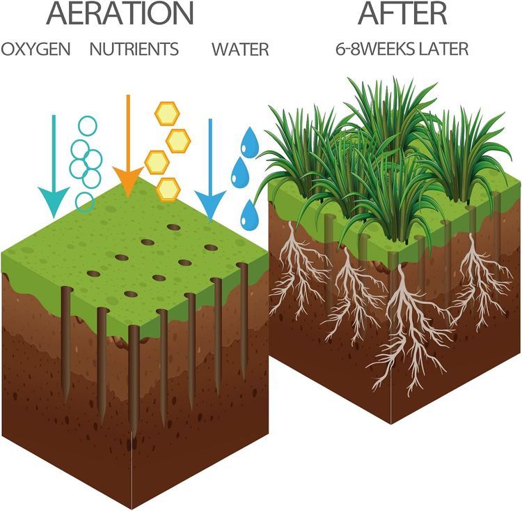 No. 2 - Walensee Manual Lawn Aerator - 5