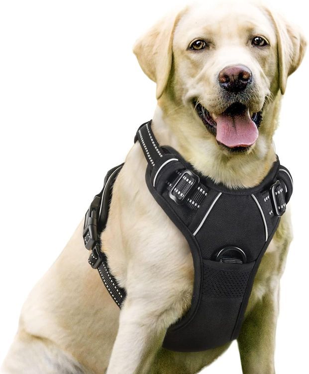 No. 2 - rabbitgoo Dog Harness - 1