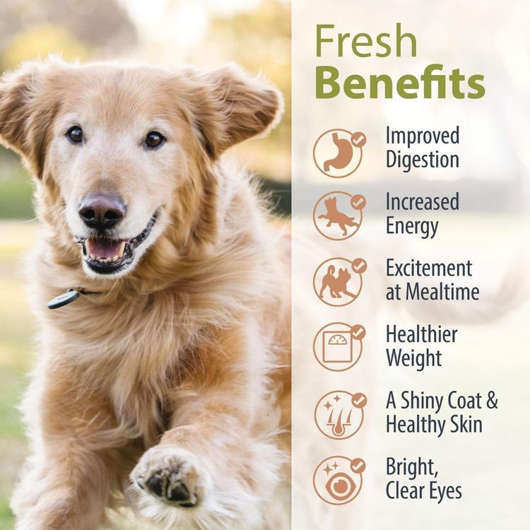 No. 3 - JustFoodForDogs Pantry Fresh Wet Dog Food - 5