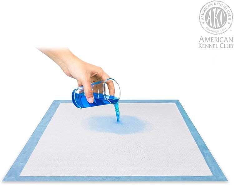 No. 3 - Ultra Absorbent Training Pads - 5