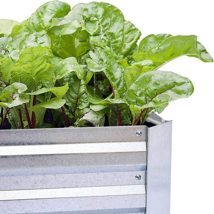 No. 2 - FOYUEE Galvanized Raised Garden Beds - 4