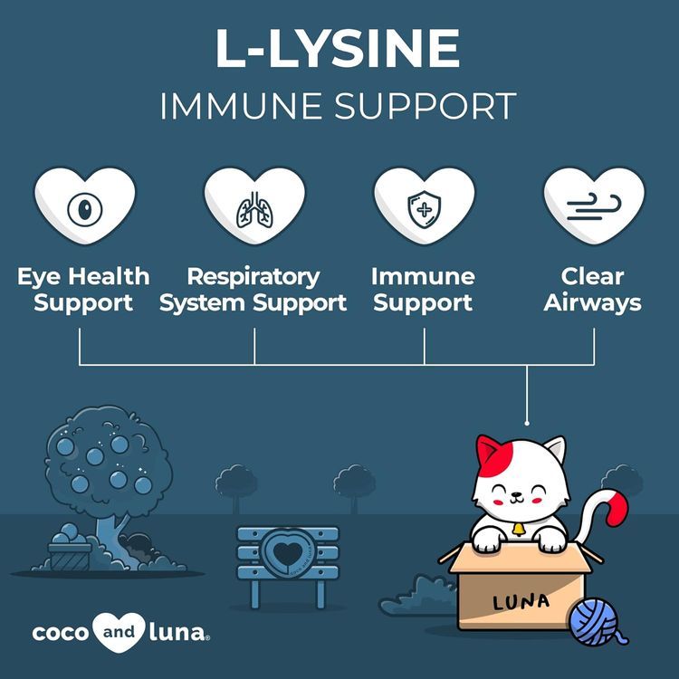 No. 9 - Coco and Luna L-Lysine - 3