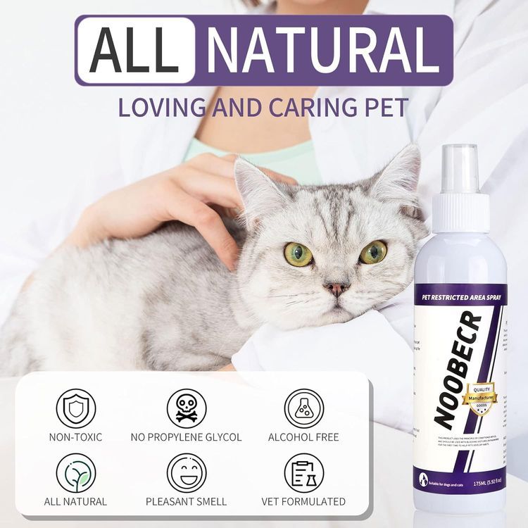 No. 7 - Cat Deterrent Spray - 2