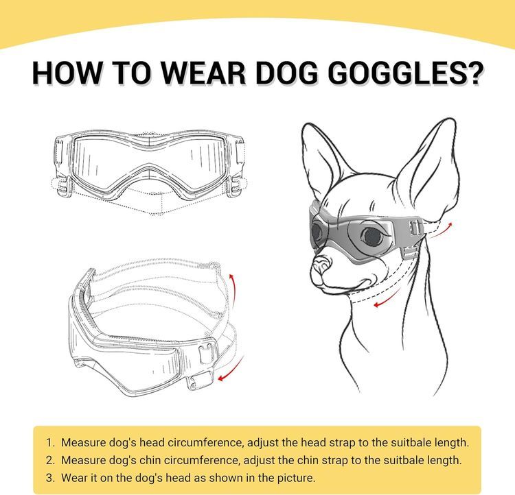 No. 4 - PETLESO Dog Sunglasses - 3