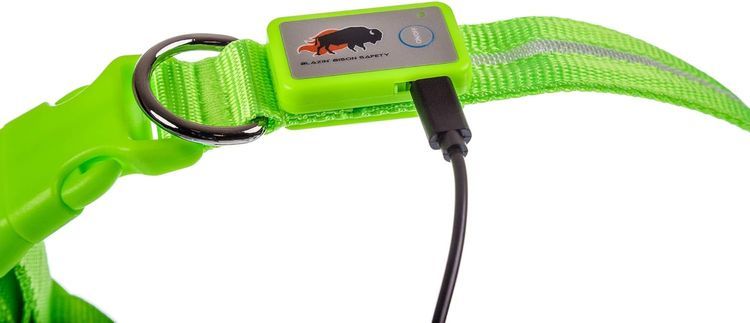 No. 10 - Blazin Light Up Dog Collars - 2