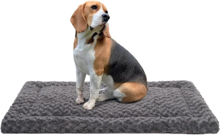 No. 10 - Washable Dog Bed Mat - 1