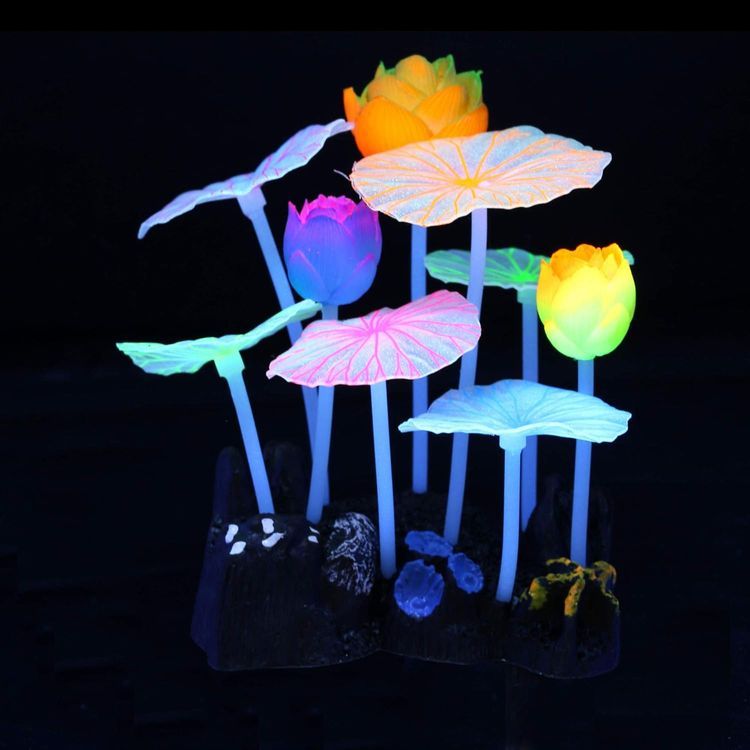 No. 7 - Lpraer 4 Pack Glow Aquarium Decorations - 5