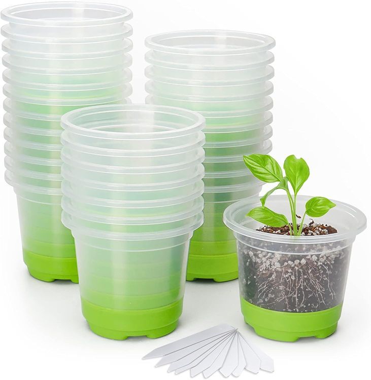 No. 10 - MIXC 4 Inch Nursery Pots - 1