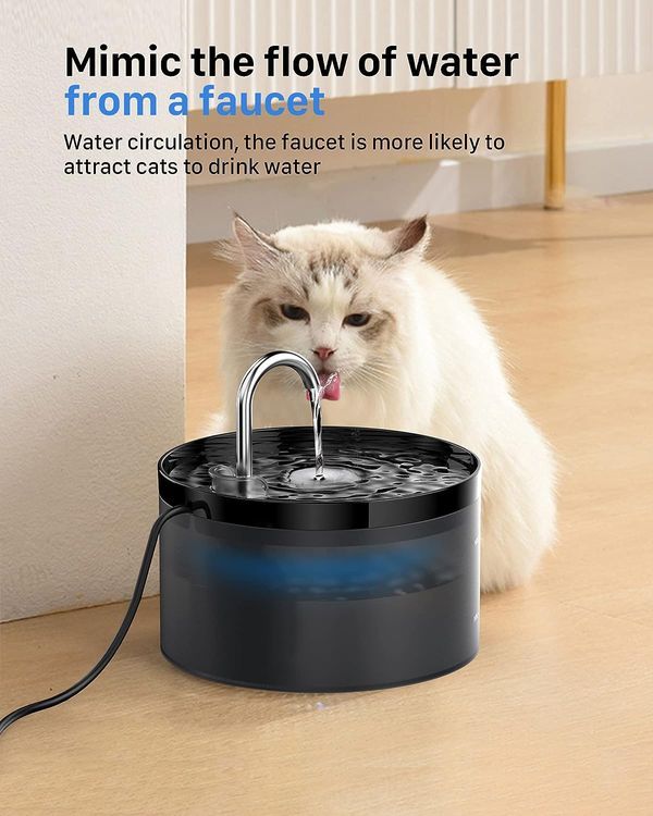 No. 10 - Cat Water Fountain - 4